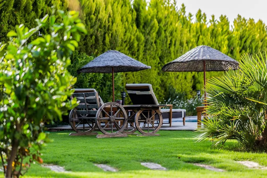 Alacati Kapari Hotel - Special Category